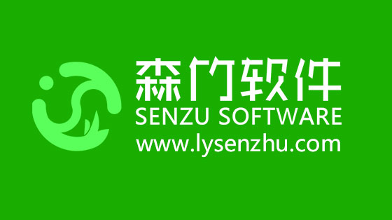 選擇森竹軟件服務(wù)，開發(fā)少走很多彎路！